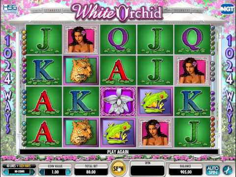 Slot Machine White Orchid